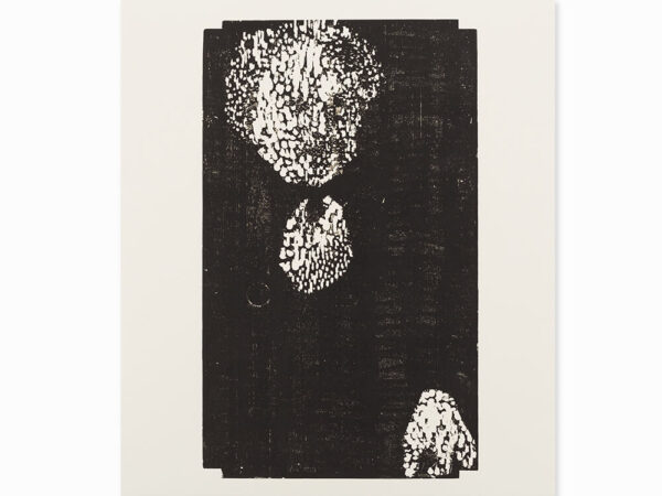Matthias Mansen, Symposion (Köpfe), 12 Woodcuts, 1999 - Image 3