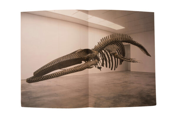 Parabol SE. The Recollection Issue Curated by Philipp Kaiser (Basel/L.A.). | Parabol SE. The recollection issue curated by Philipp Kaiser (Basel/L.A.). - Image 4