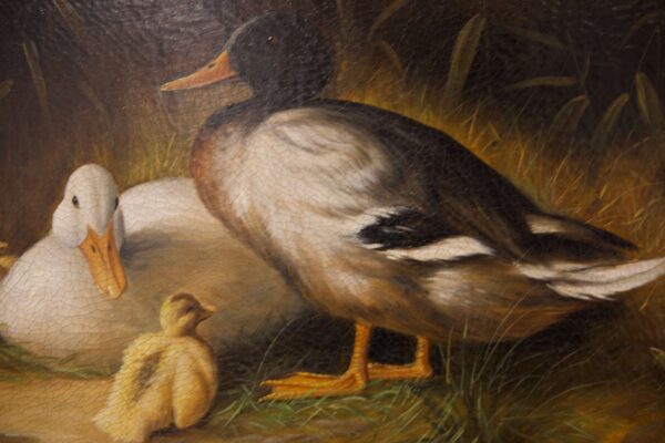 S.Watney, Ducks on Lake | S.Watney, Enten am See - Image 2