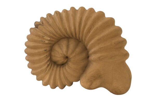 Holzfigur Ammonit  | Wooden Figure Ammonite