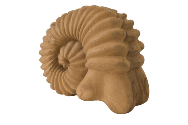 Holzfigur Ammonit  | Wooden Figure Ammonite - Image 2