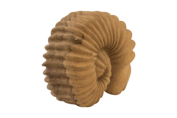 Holzfigur Ammonit  | Wooden Figure Ammonite - Image 5