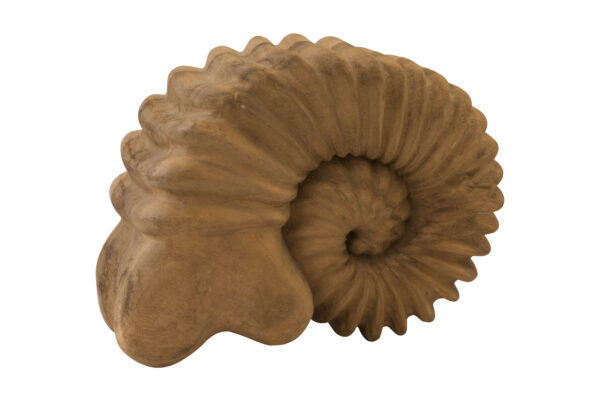 Holzfigur Ammonit  | Wooden Figure Ammonite - Image 4