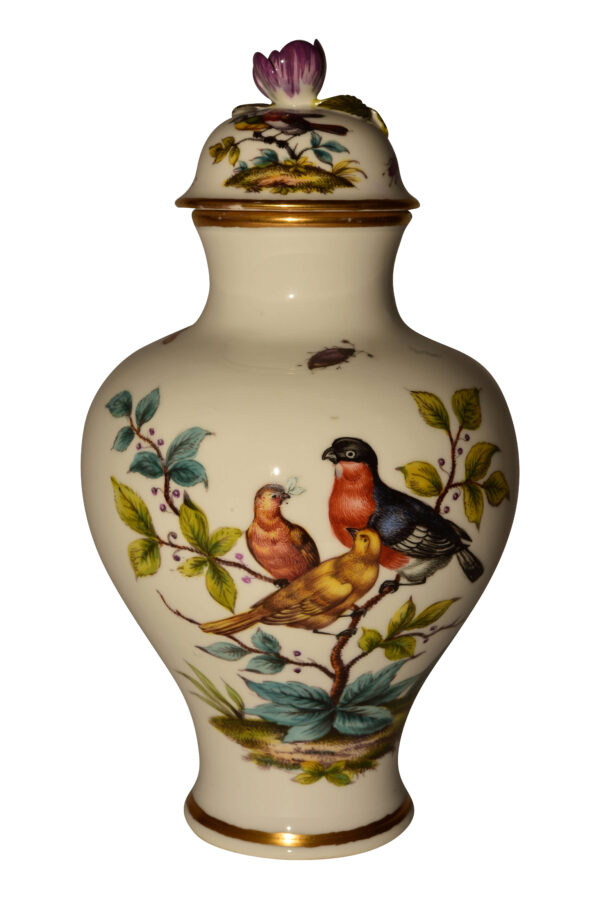 #252 5 seltene Augustus Rex Vasen Meissen 19. Jahrhundert | 5 Rare Augustus Rex Vases Meissen 19Th Century - Image 7