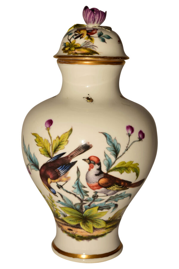 #252 5 seltene Augustus Rex Vasen Meissen 19. Jahrhundert | 5 Rare Augustus Rex Vases Meissen 19Th Century - Image 5