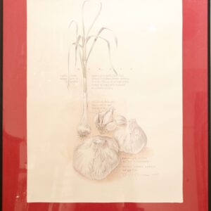#36 Set of Two Pictures, Garlic and Onion | Konvolut aus zwei Bildern, Knoblauch und Zwiebel