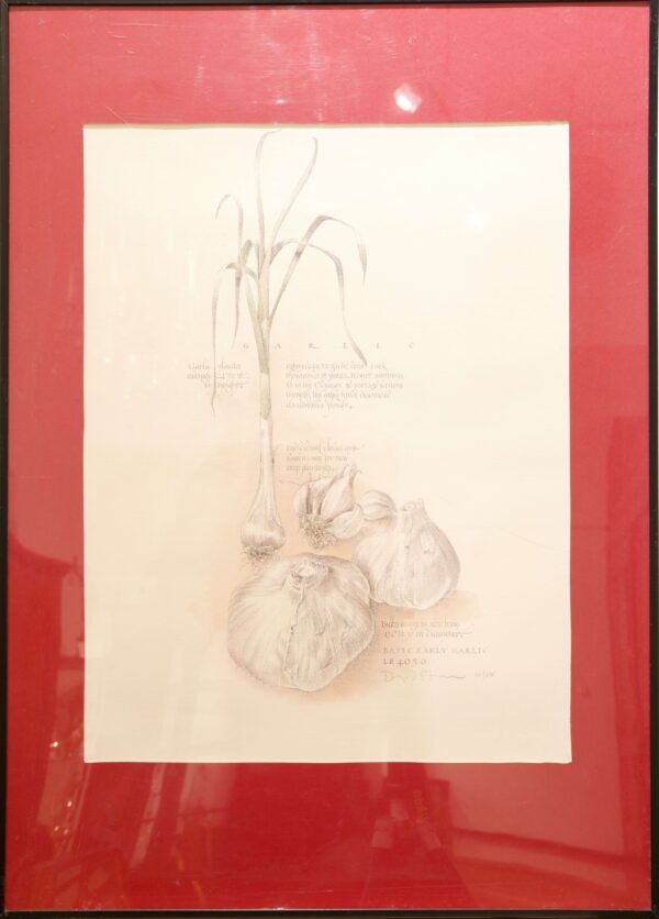 #36 Set of Two Pictures, Garlic and Onion | Konvolut aus zwei Bildern, Knoblauch und Zwiebel