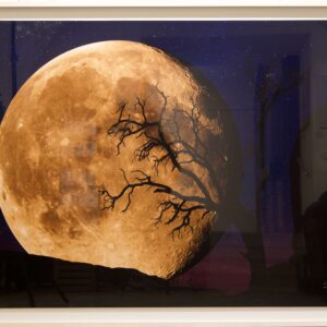 #37 Peter Lik, Bella Luna | Peter Lik, Bella Luna