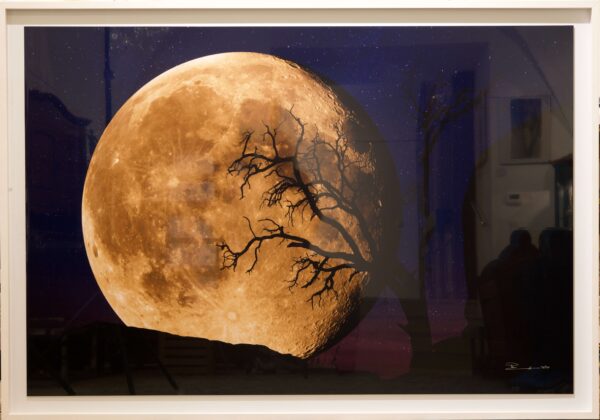 #37 Peter Lik, Bella Luna | Peter Lik, Bella Luna