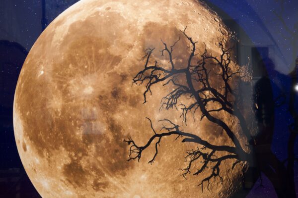 #37 Peter Lik, Bella Luna | Peter Lik, Bella Luna - Image 2