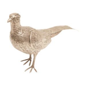 #178 Silber Fasan | Silver Pheasant