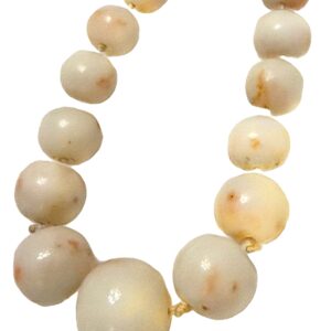 #234 Korallenkette weiß im Verlauf mit Korallenverschluss und Ohrbrisuren aus Gelbgold | Graduated White Coral Necklace with Coral Clasp and Ear Pendants in Yellow Gold