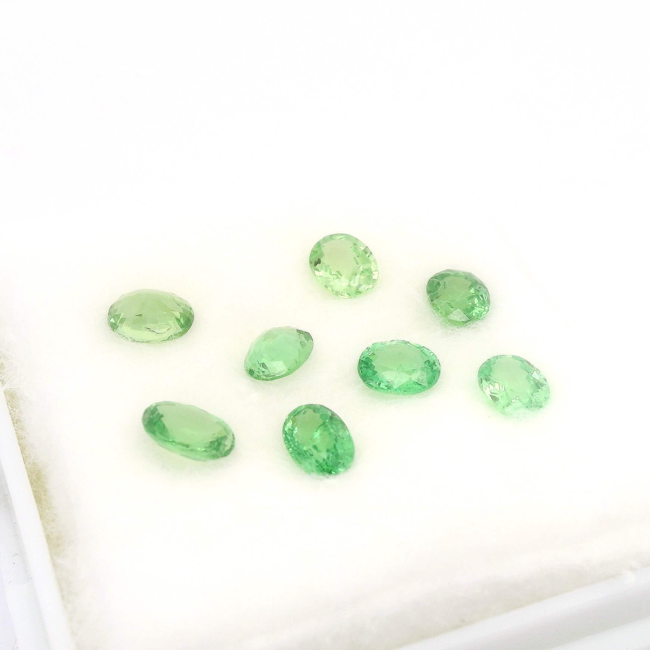 #244 Lose Steine Tsavorit, 8 Stück | Tsavorites, 8 Pieces