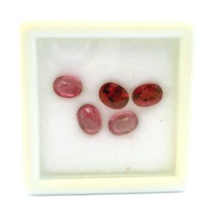 #245 Lose Steine, Rubellit, 5 Stück | Rubellite, 5 Pieces